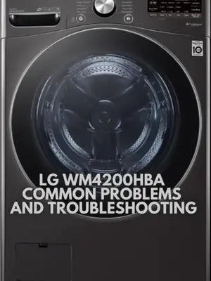 LG WM4200HBA Common Problems and Troubleshooting