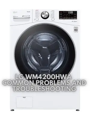 LG WM4200HWA Common Problems and Troubleshooting